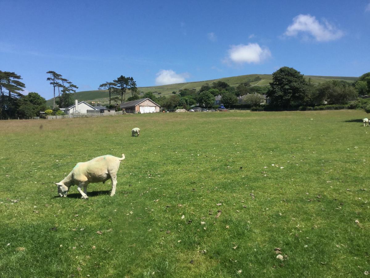 Plas Y Nant Llwyngwril Kültér fotó